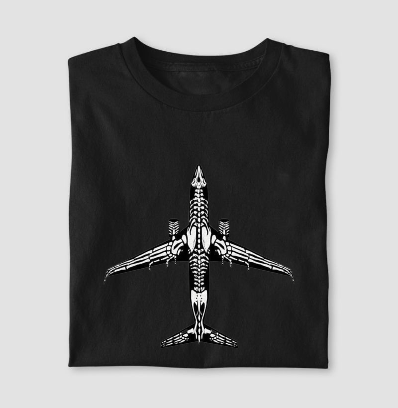 Esqueleto de avião 