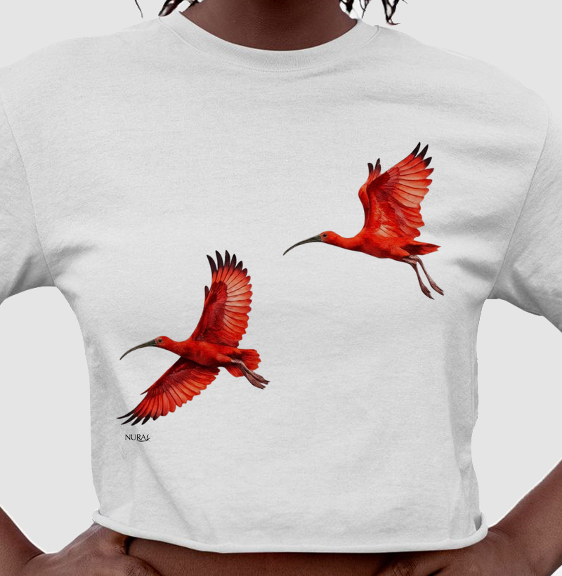 Sinfonia dos Guarás