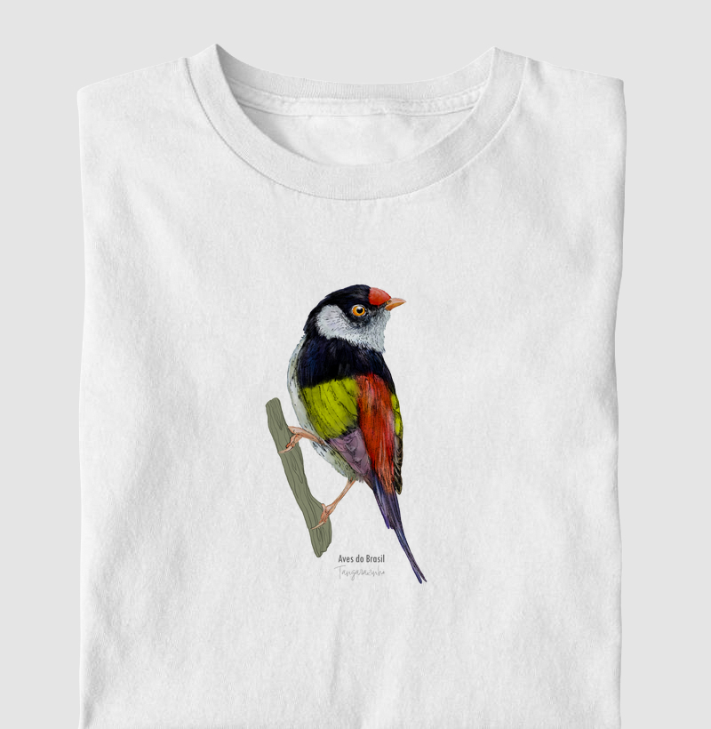 Aves do Brasil - Tangarazinho - Infantil