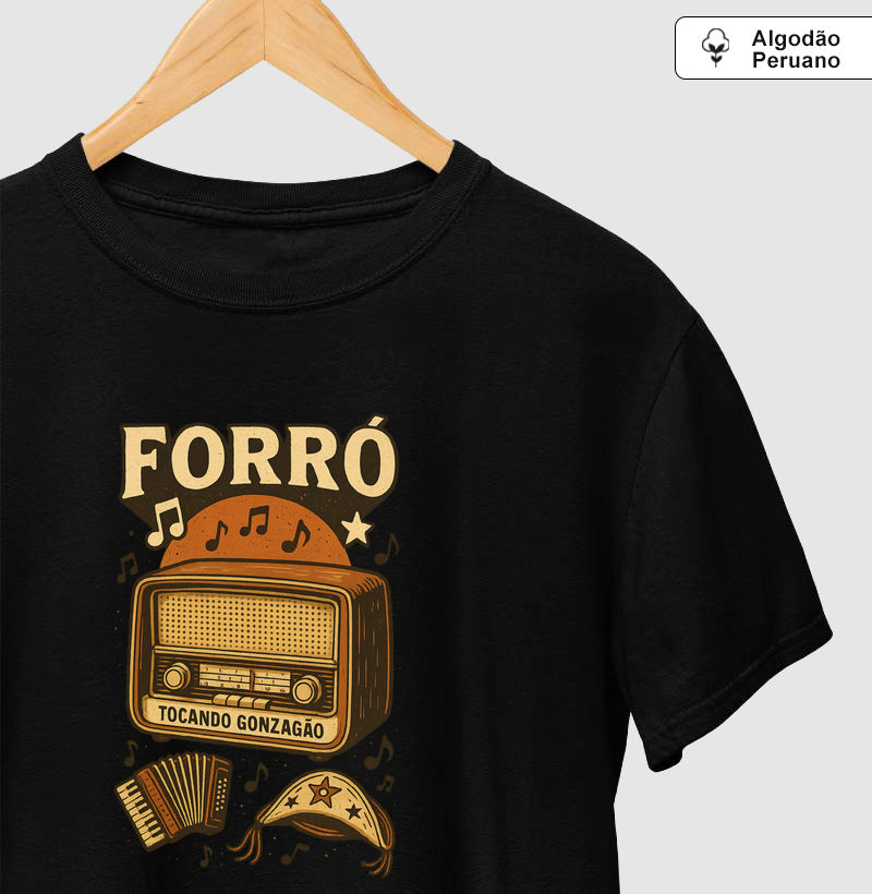 Forró Tocando Gonzagão
