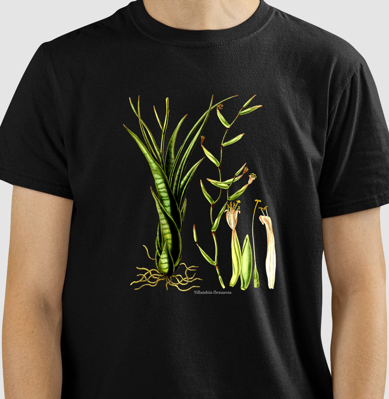 Camiseta Tshirt Tillandsia flexuosa