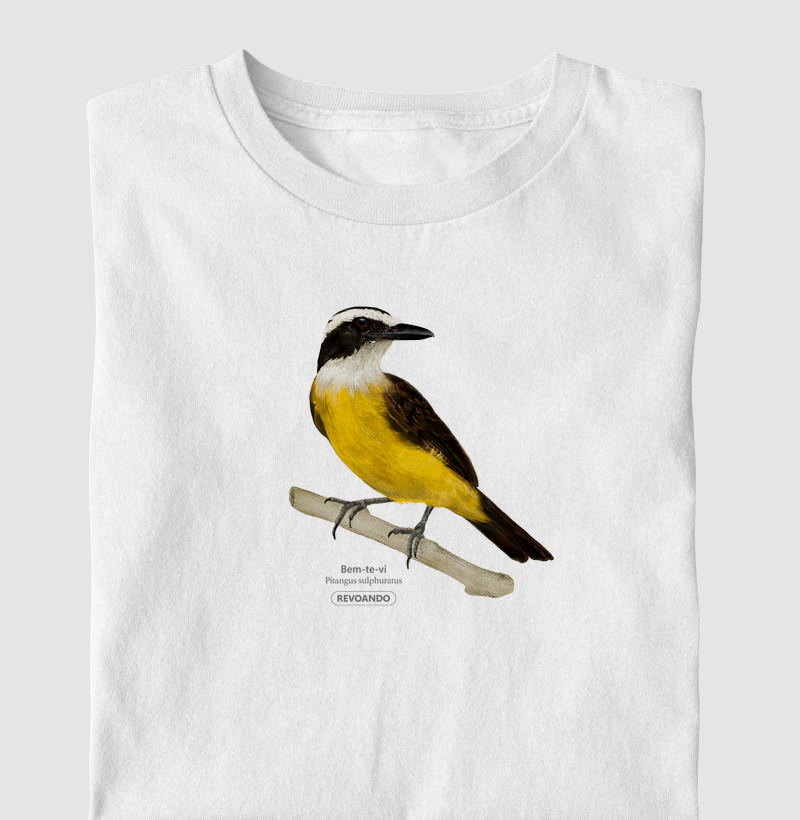 Aves do Brasil - Bem-te-vi - Infantil