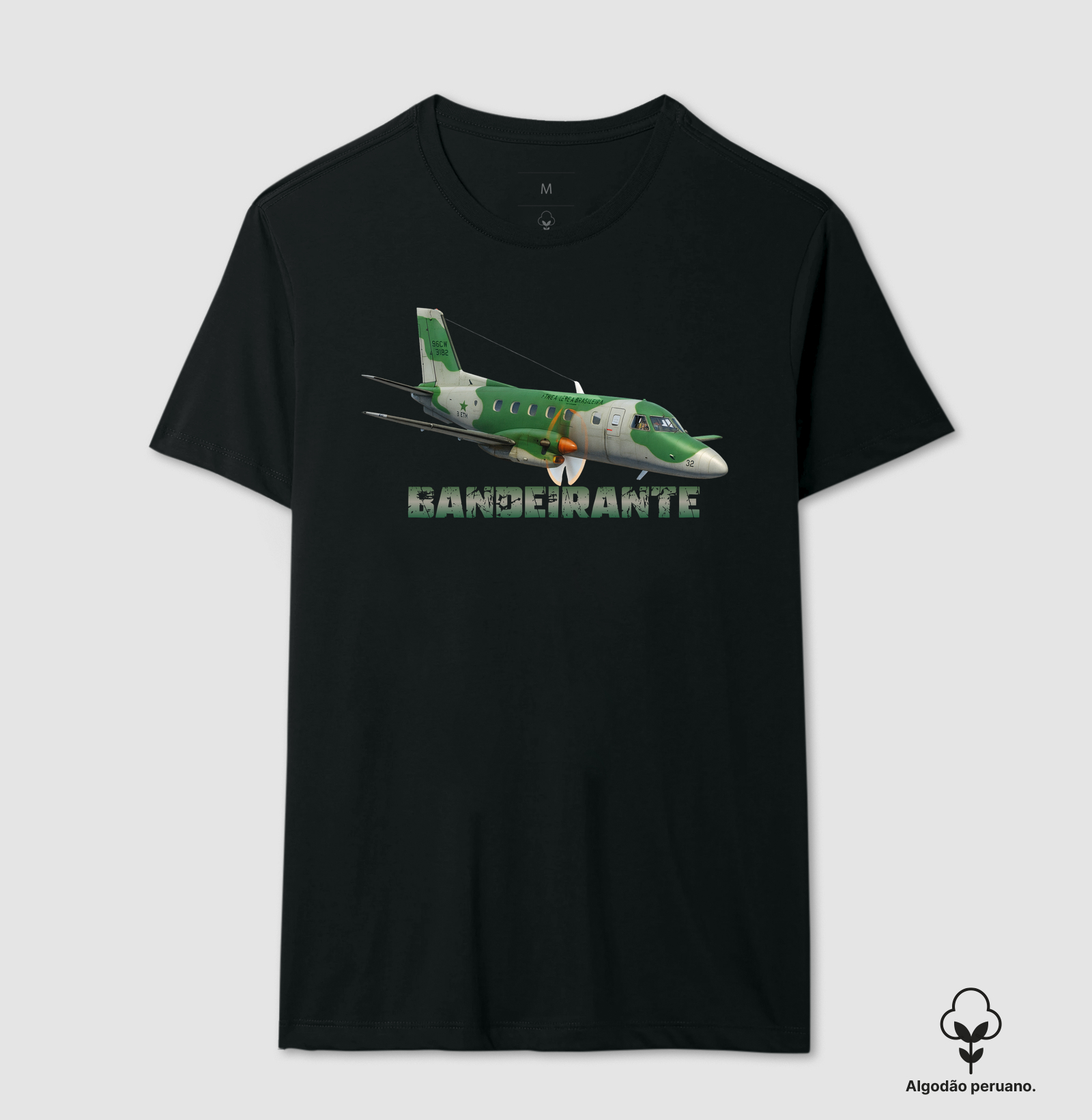 Bandeirante FAB