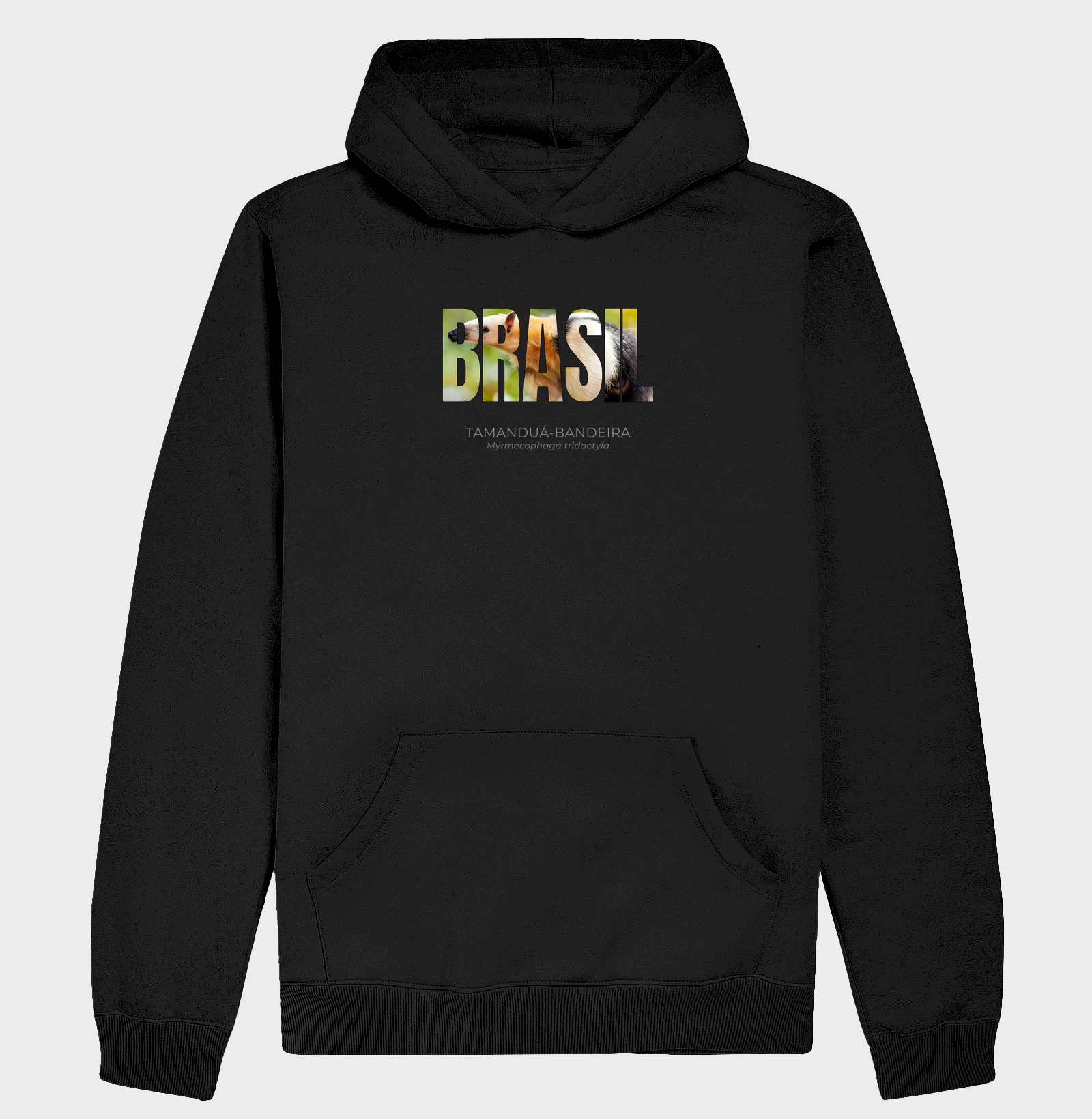 Animais do Brasil - Tamanduá-bandeira