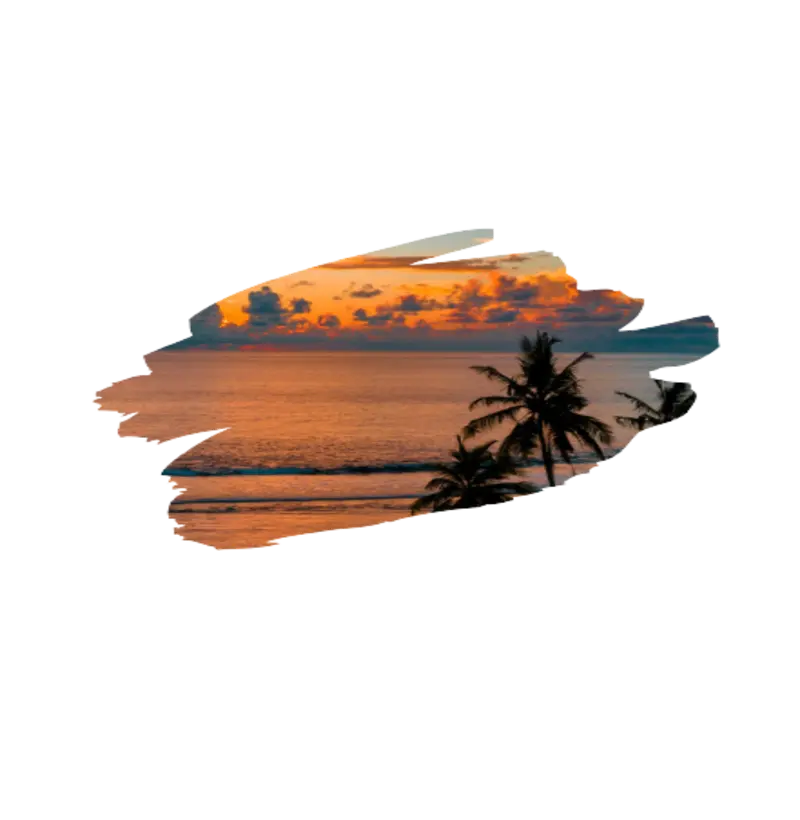CAmiseta praia
