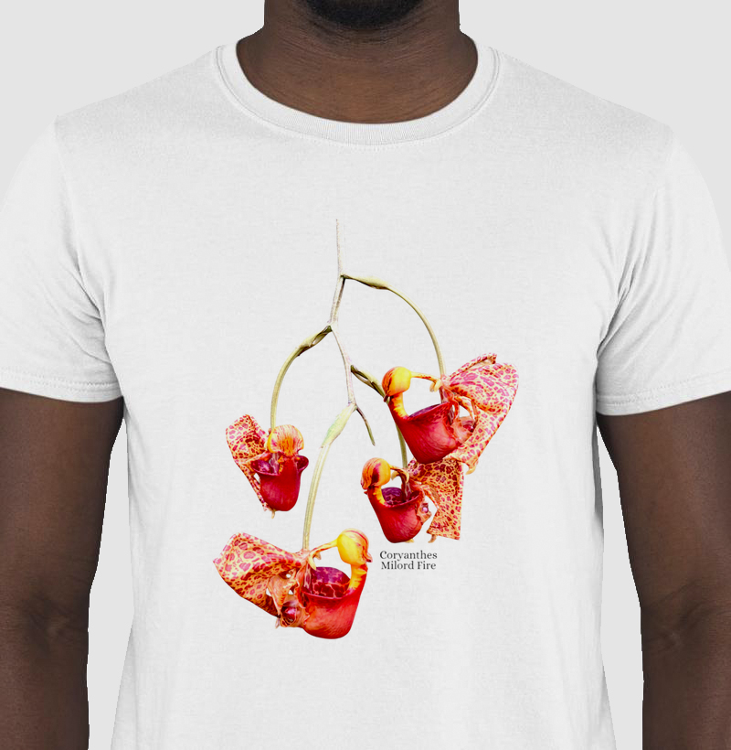 Camiseta Sidney Coryathes Milord