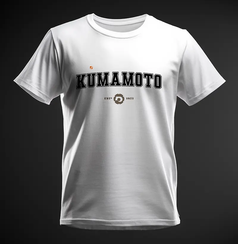 Província de Kumamoto