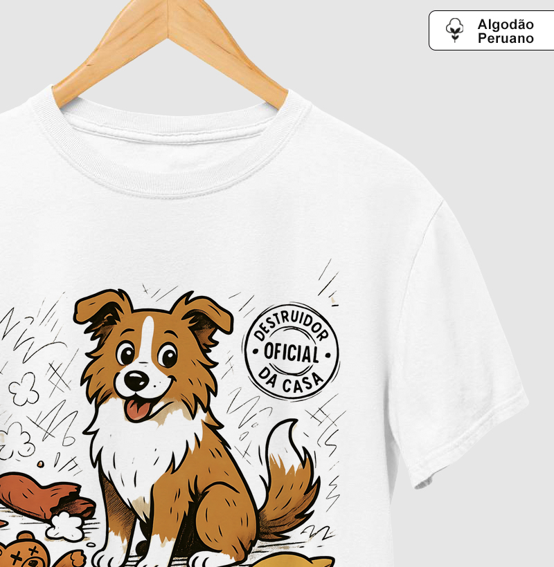 Destruidor oficial da casa