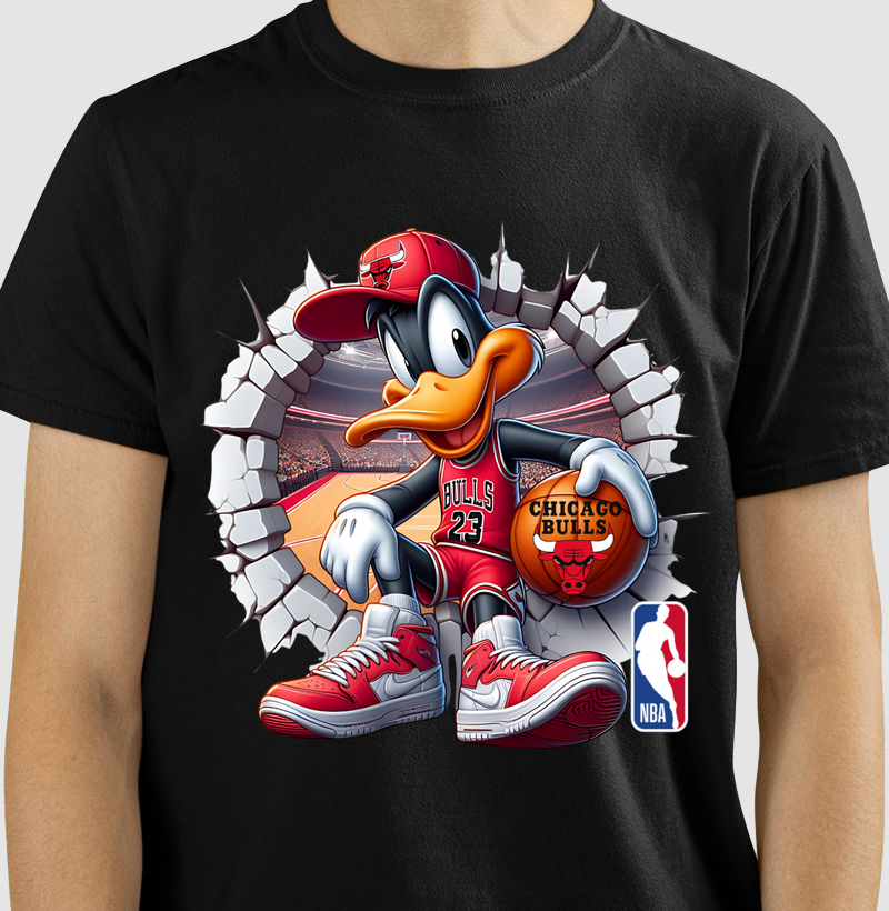 Camiseta Chicago Bulls