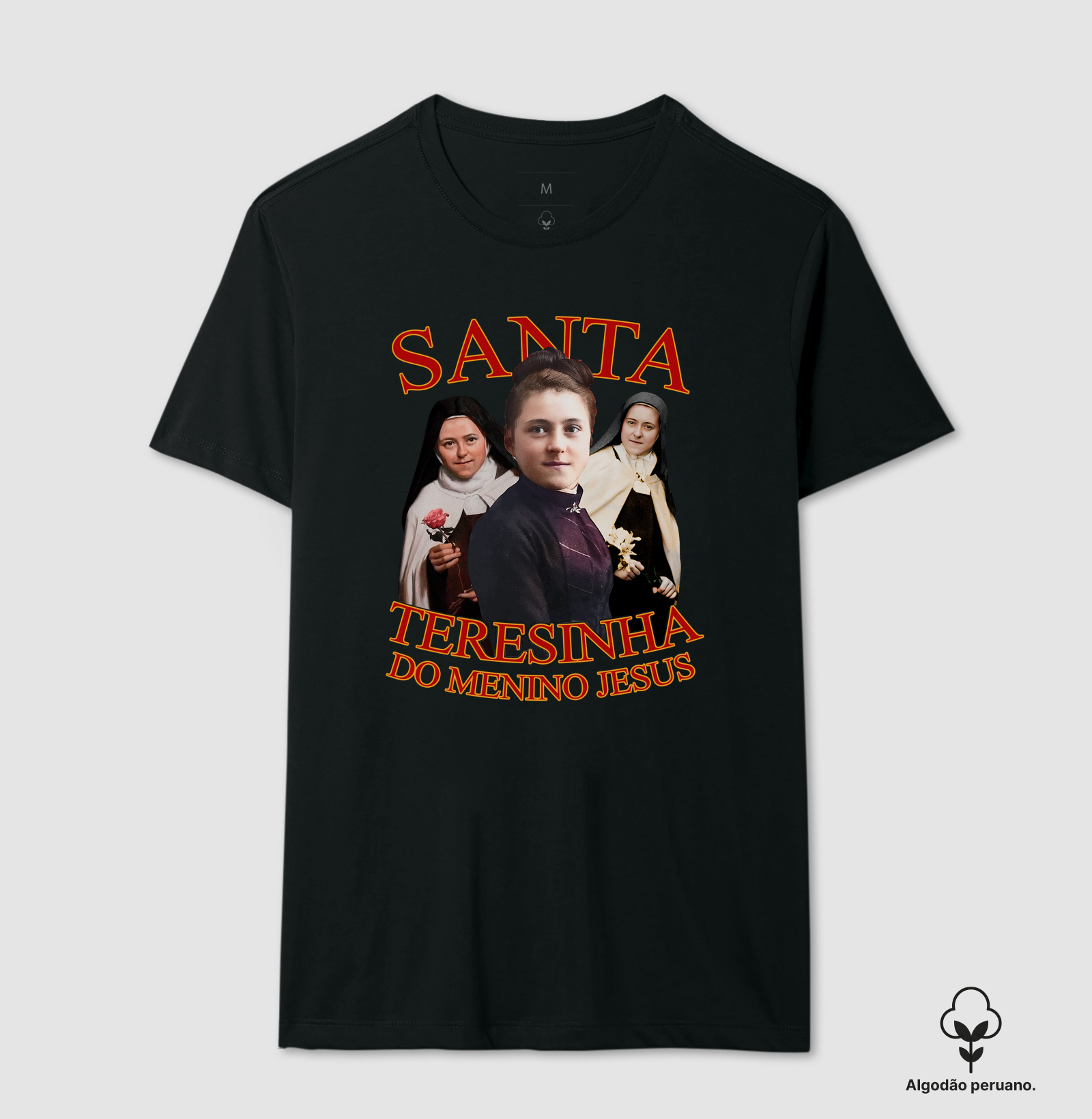 3 Santa Teresinha