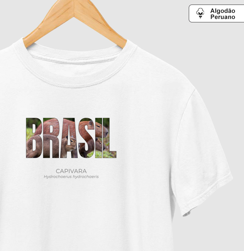 Animais do Brasil – Capivara