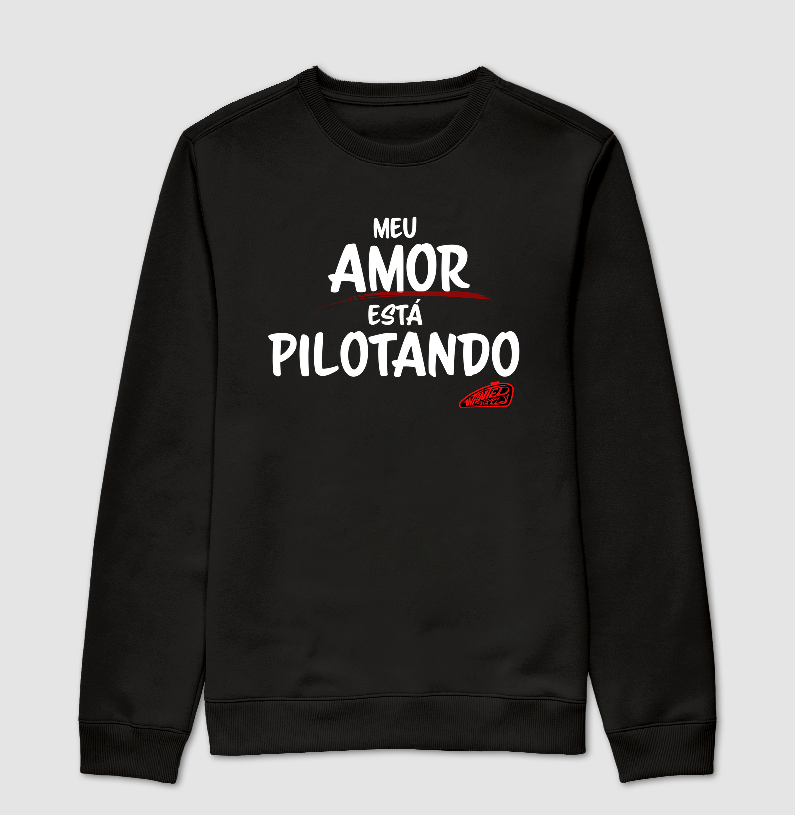 Meu amor está pilotando