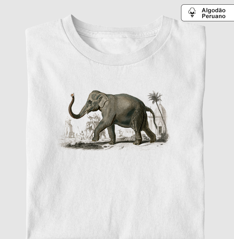 Asian elephant