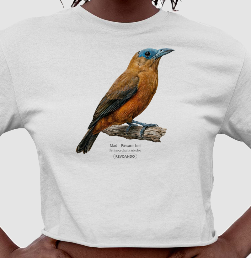 Traços Alados - Maú - Cropped