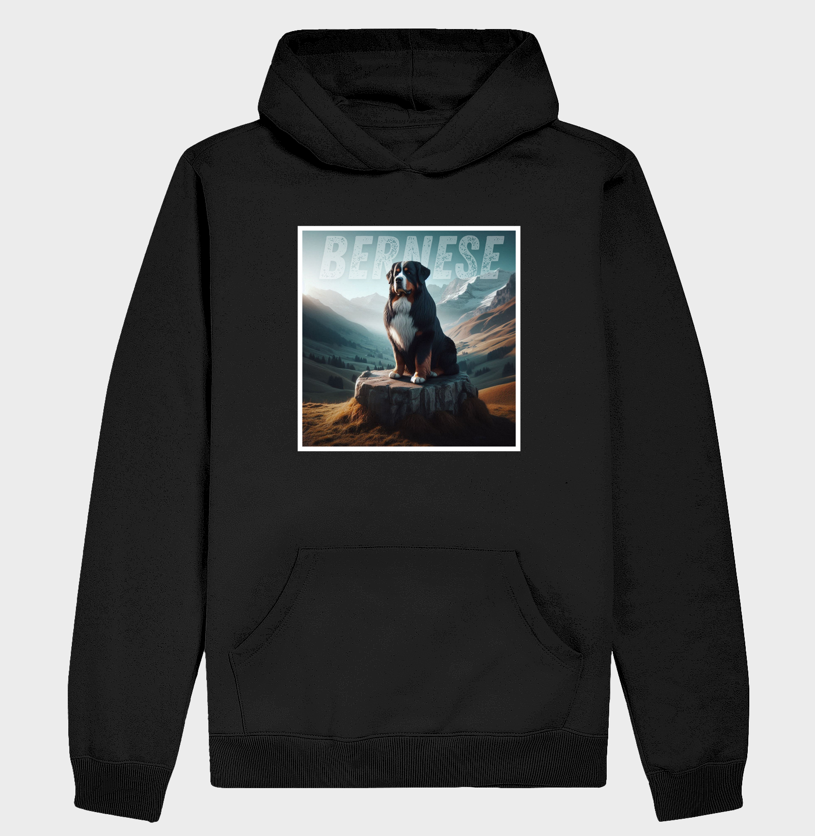 Bernese da Montanha
