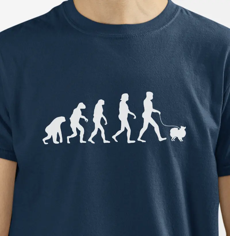 Evolução Pom