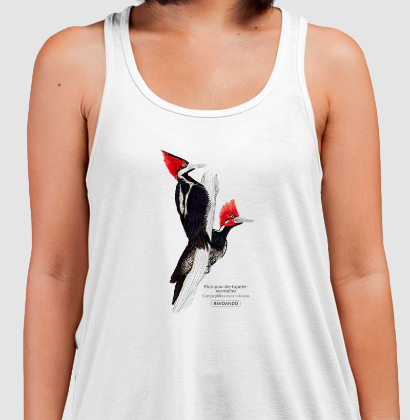 Aves do Brasil - Pica-pau-de-topete-vermelho - Regata