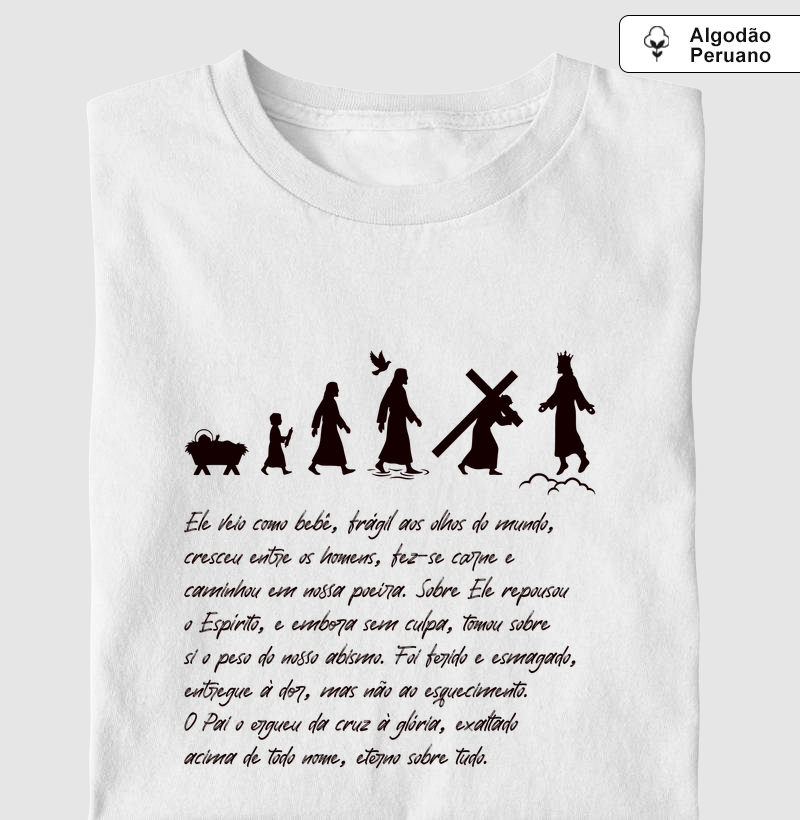Camiseta Algodão Peruano Estampa - A Evolução de Jesus