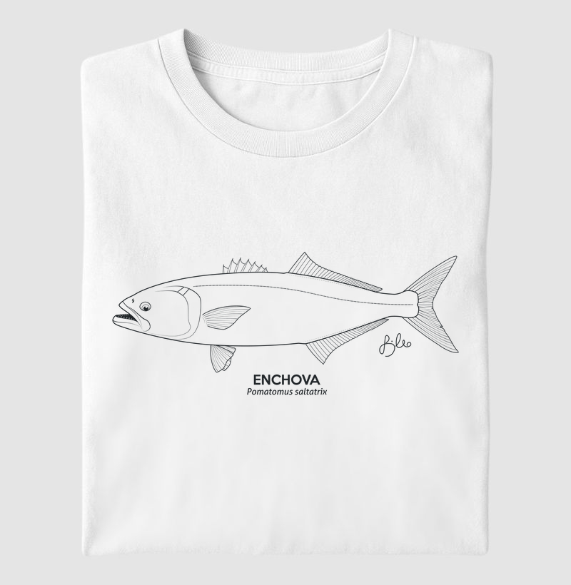 Enchova Minimalismo