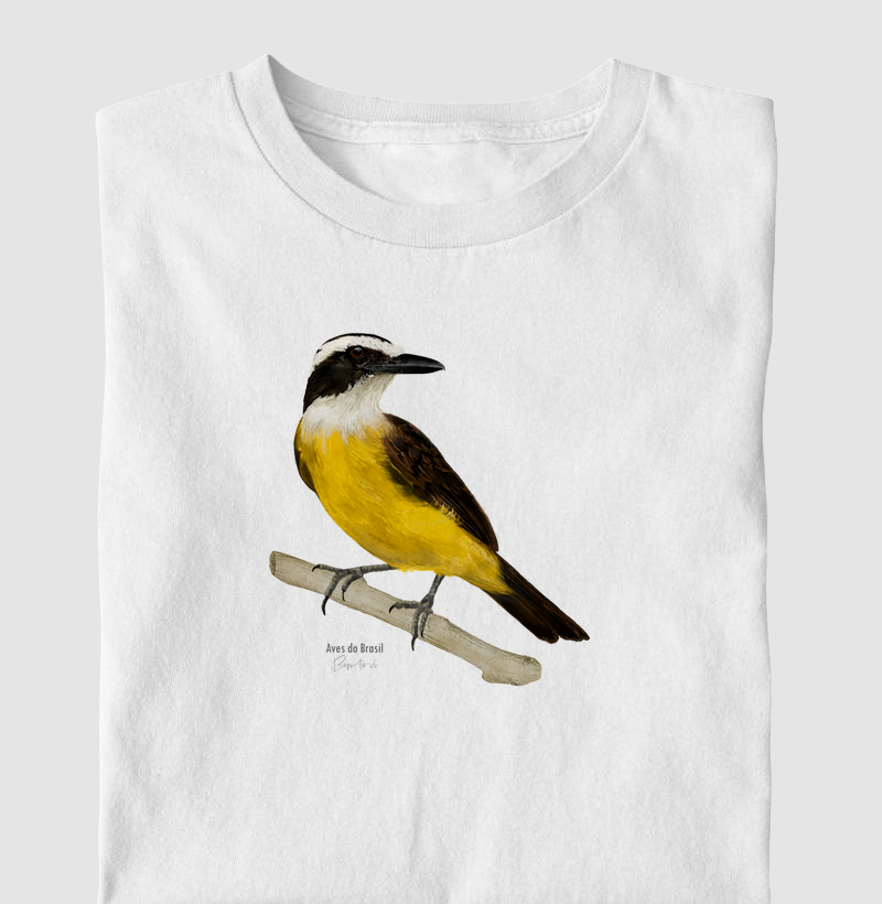 Aves do Brasil - Bem-te-vi