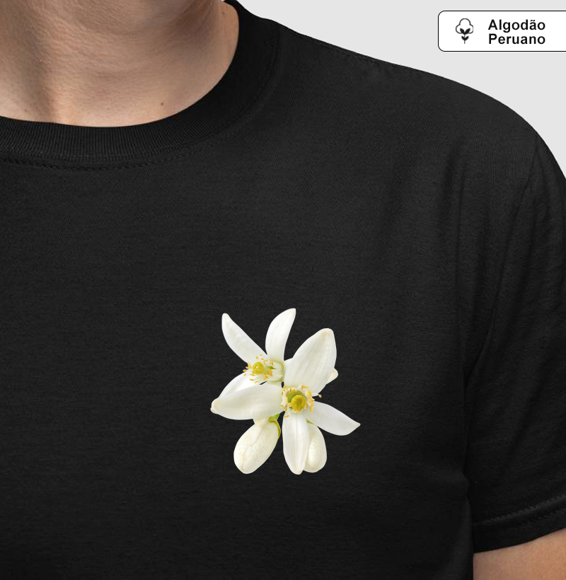 Coleção flores