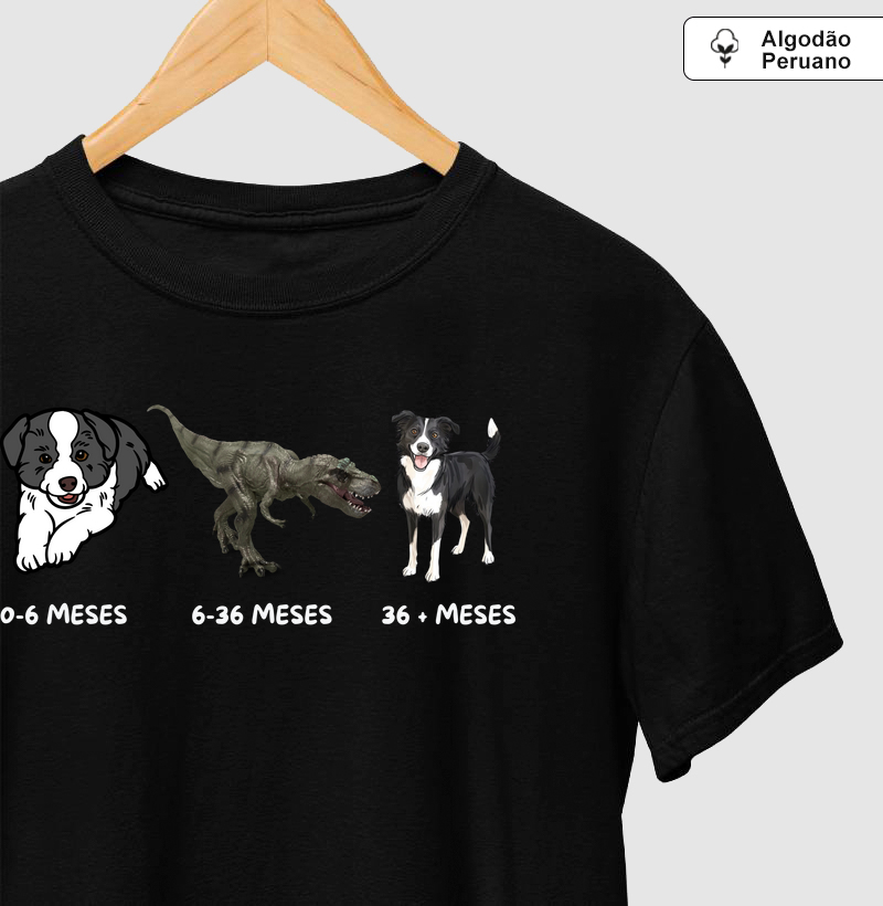 A evolução do border collie