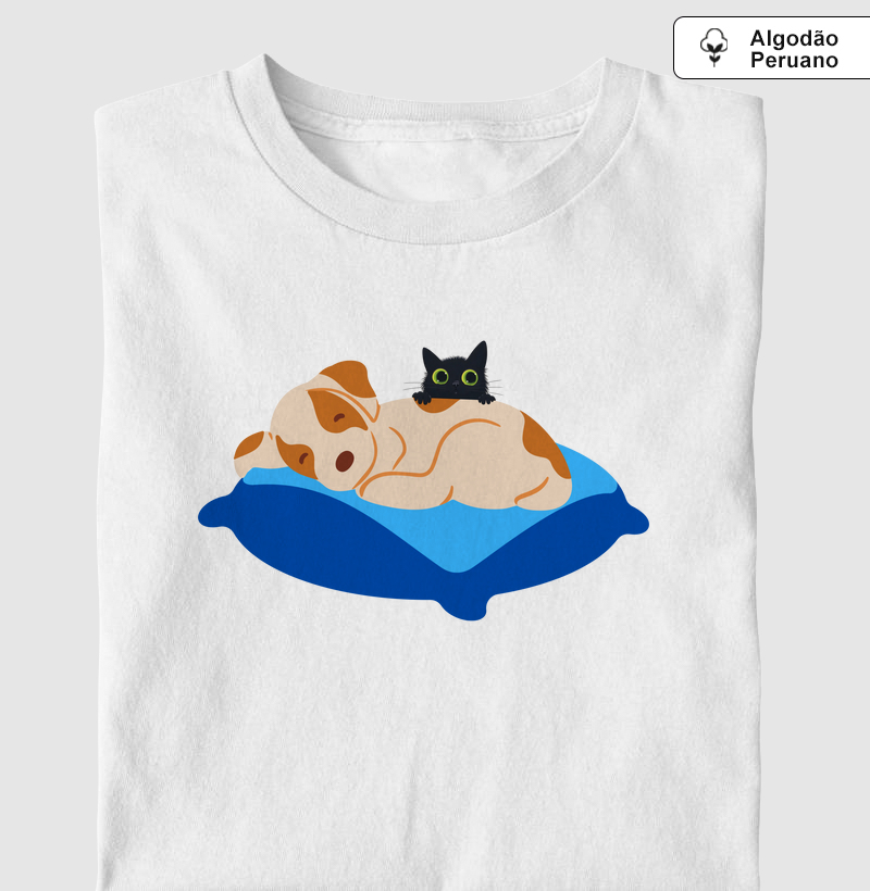 Cãozinho dormindo, gatinho espreitando (VET)