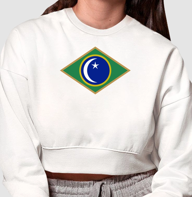 Bandeira Santa Maria 