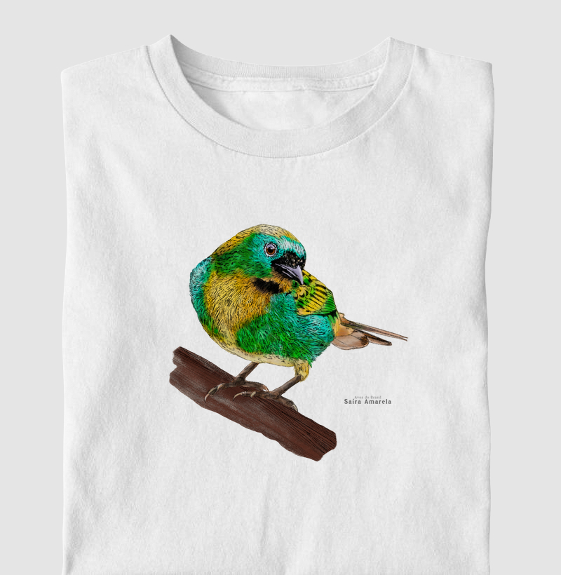 Aves do Brasil - Saíra Lagarta