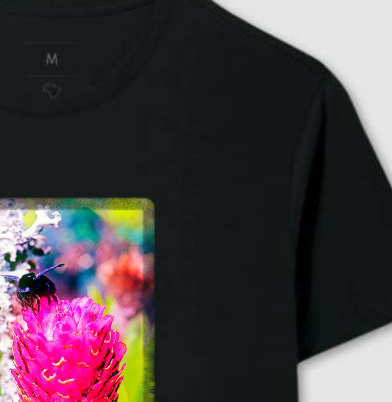 4,5 Billion Years of Evolution