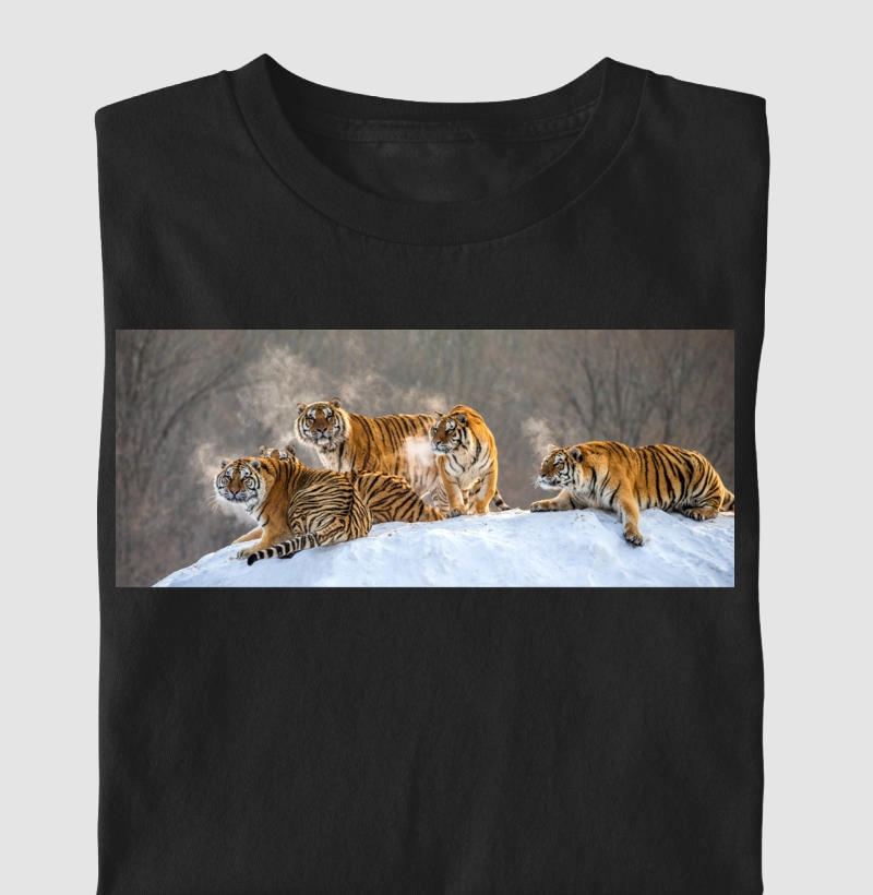 Bando de tigres 