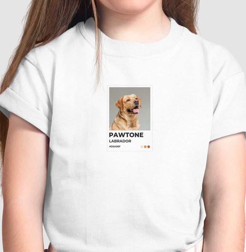 Pawtone Labrador
