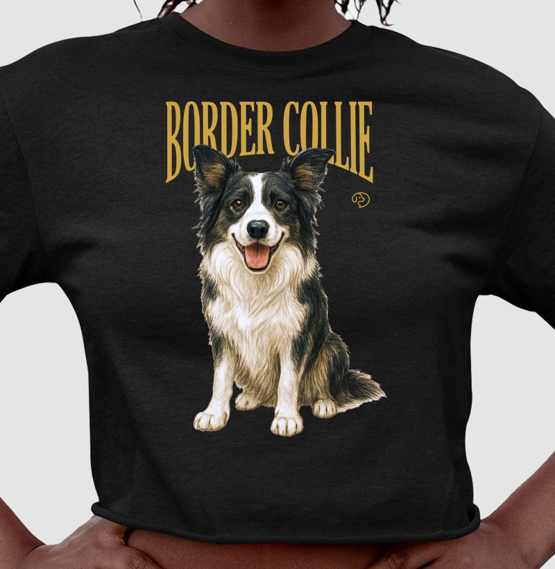 Border Collie Vintage