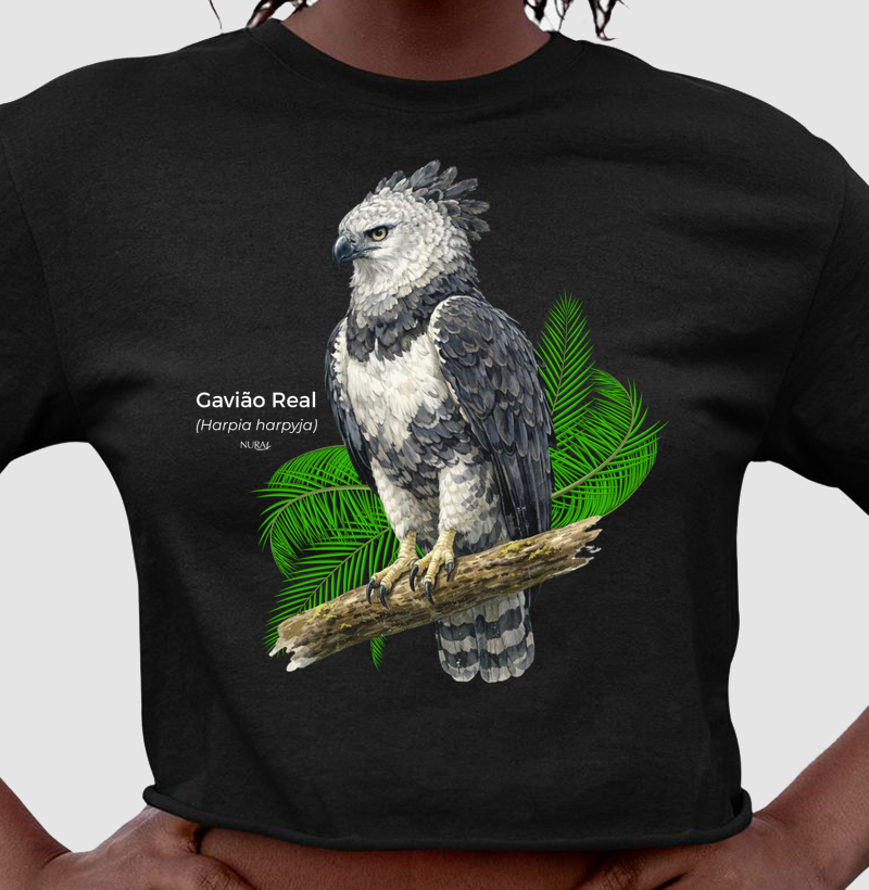 Gavião Real (Harpia harpyja)
