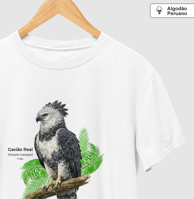 Gavião Real (Harpia harpyja)