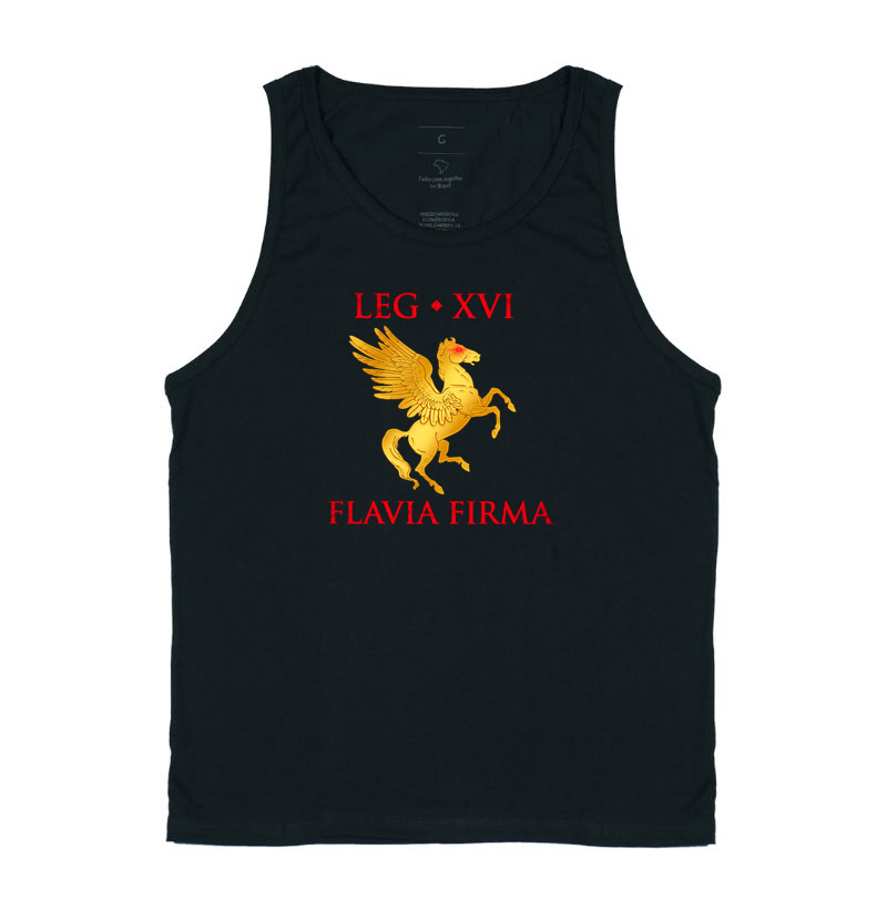 LEGIO — XVI Flavia Firma - II