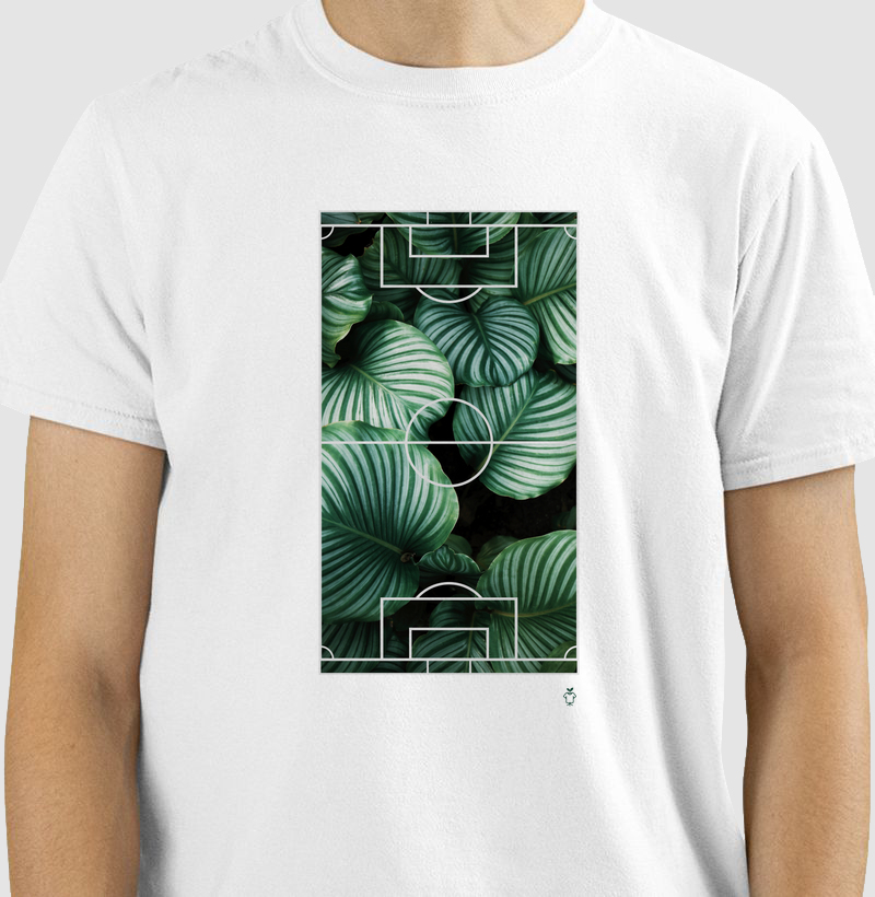 Plantas em campo!
