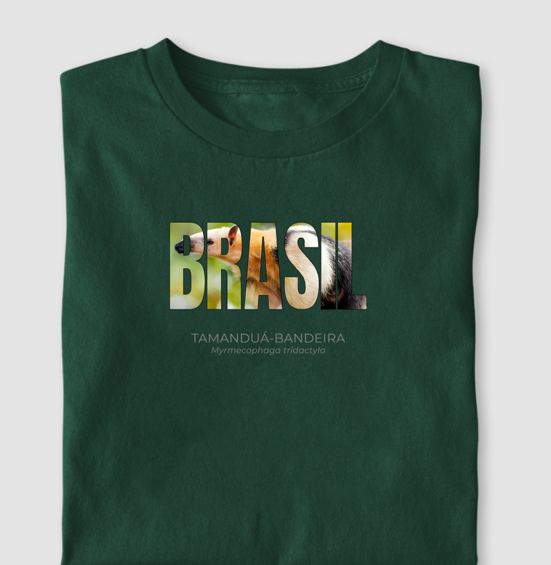 Animais do Brasil - Tamanduá-bandeira