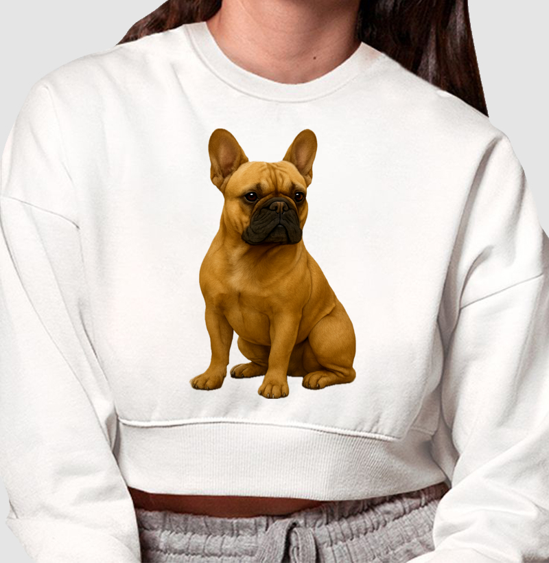 Buldogue
