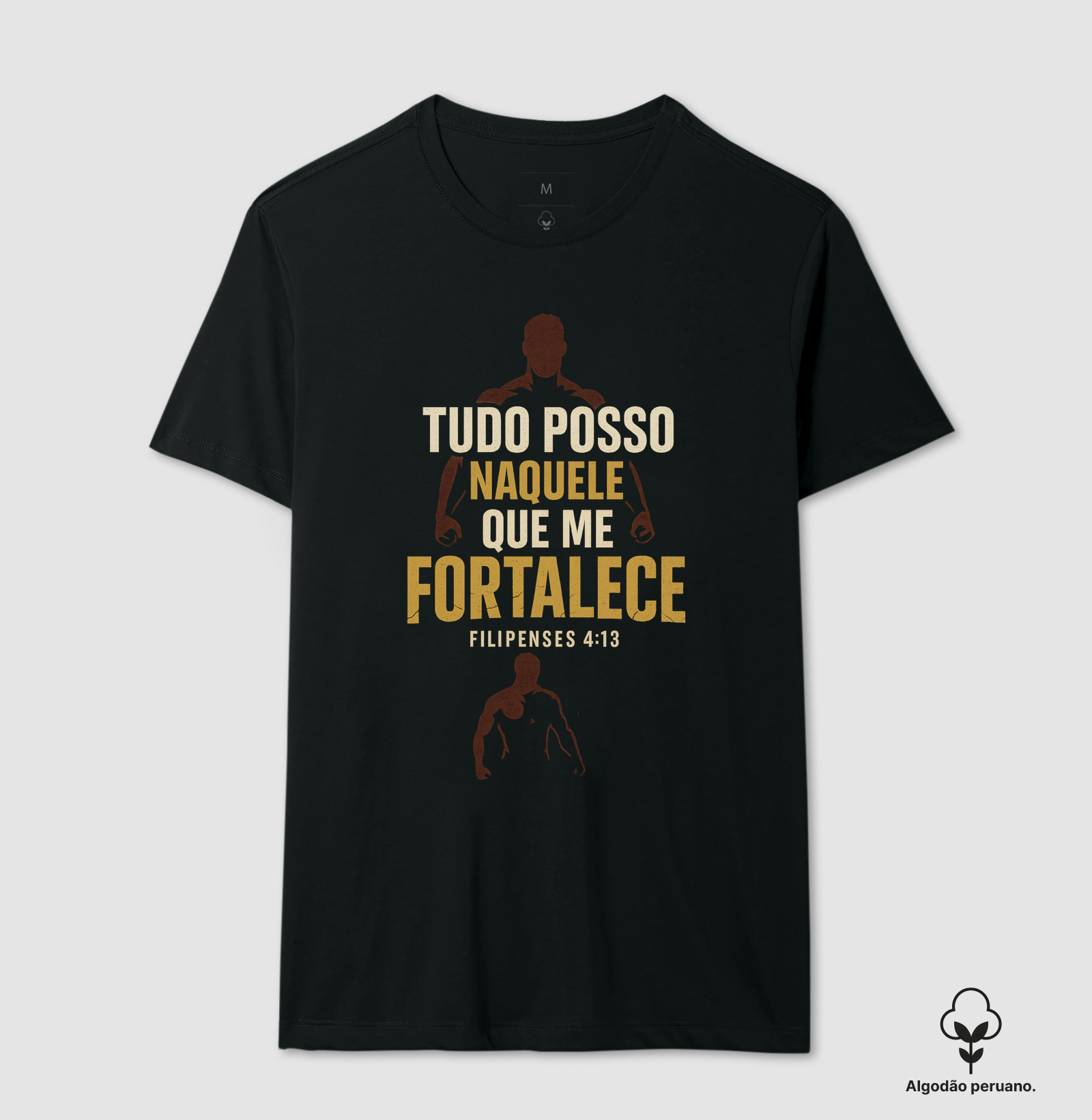 Tudo Posso Naquele Que Me Fortalece