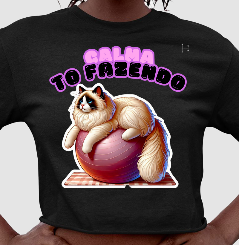 Gato - Ragdoll