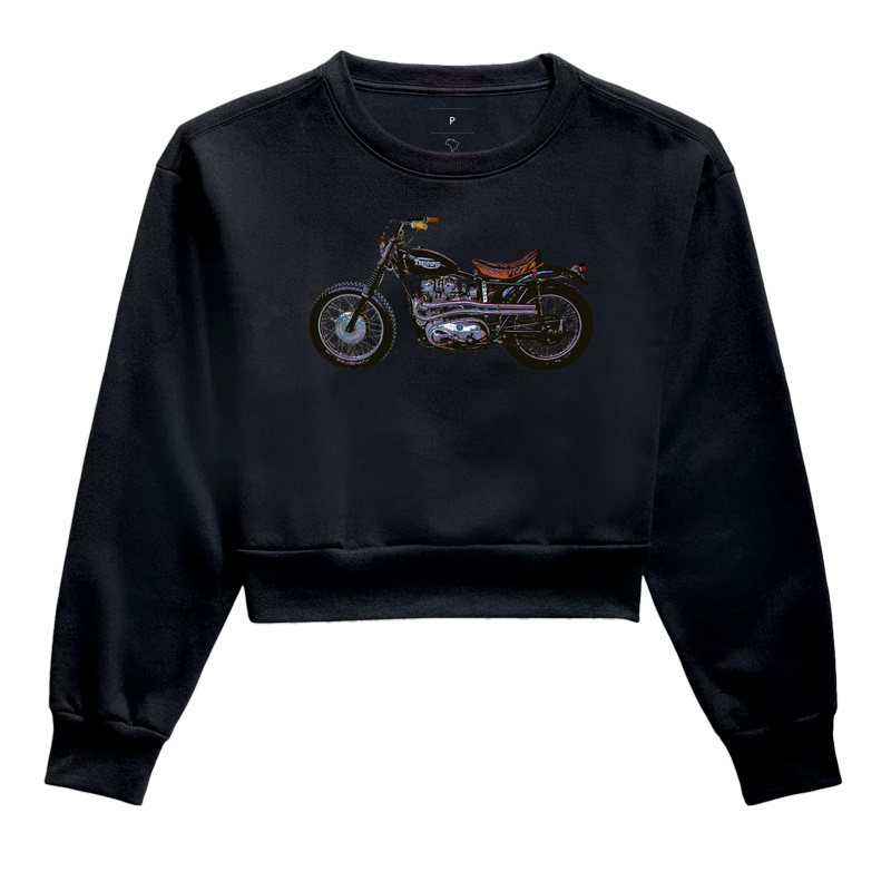 Triumph 1