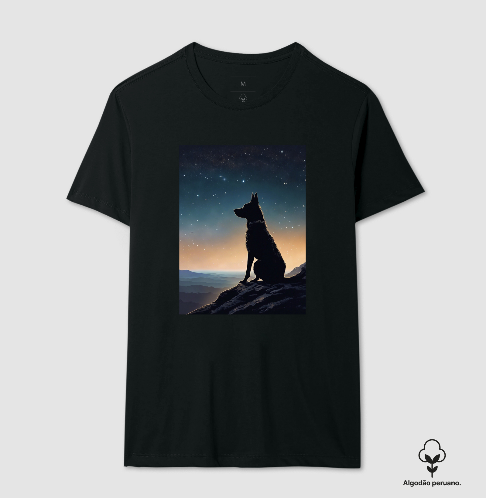 Olhando as Estrelas
