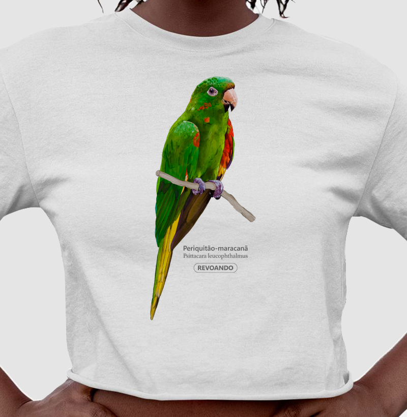 Aves do Brasil - Periquitão-maracanã - Cropped