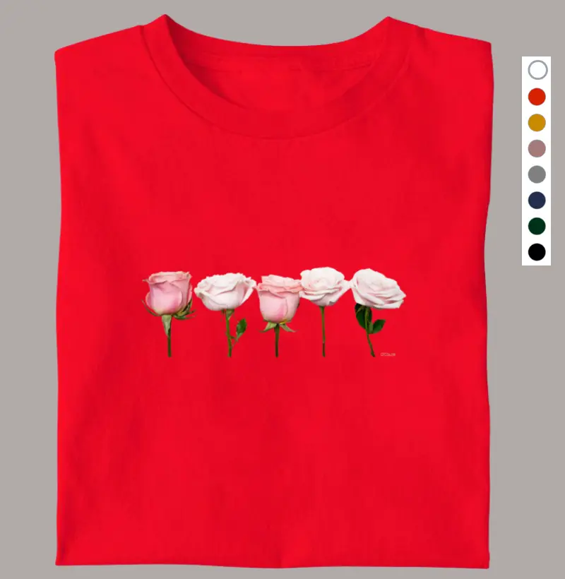 Roses Rose