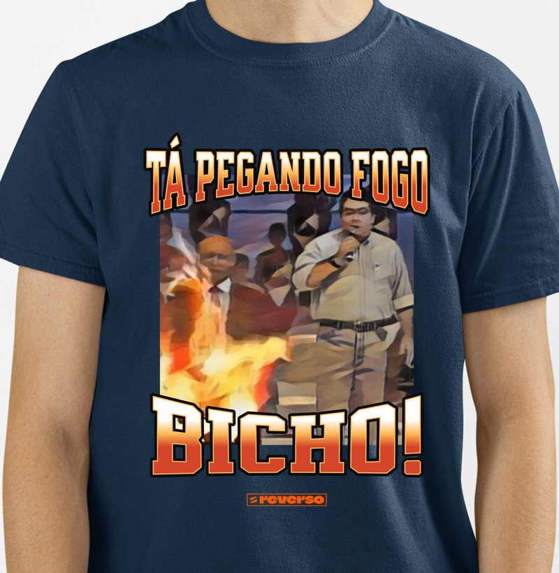 TÁ PEGANDO FOGO BICHO / Momentos da TV