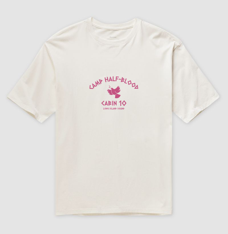 Camiseta oversized chalé 10