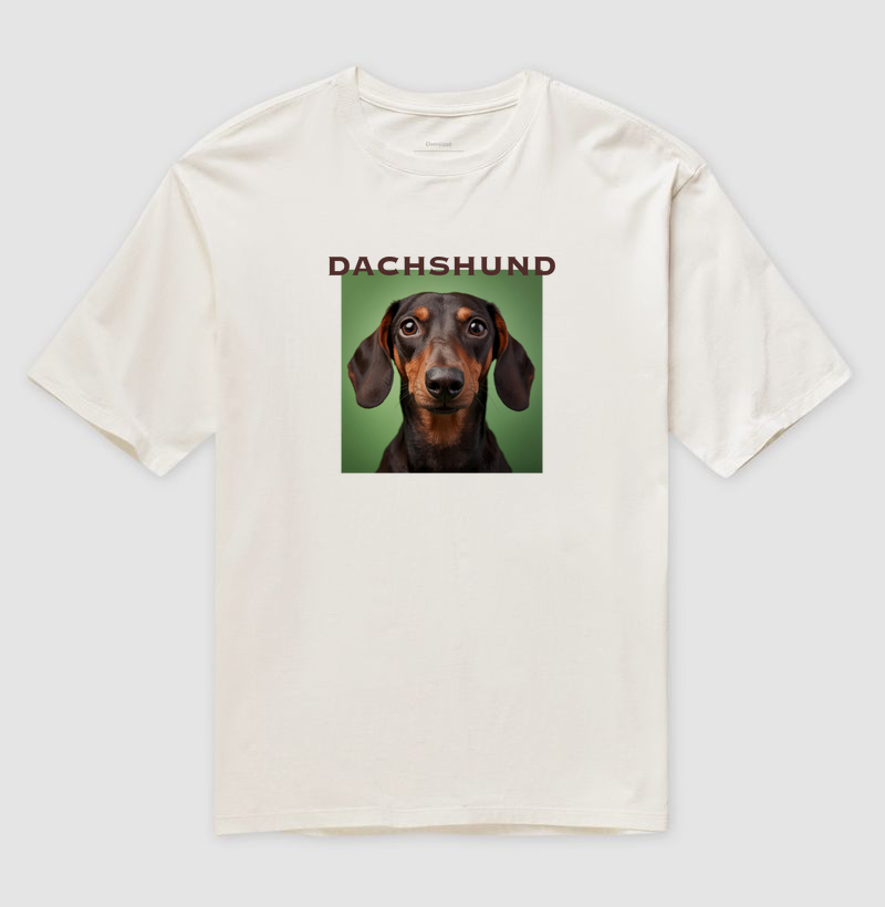 Dachshund
