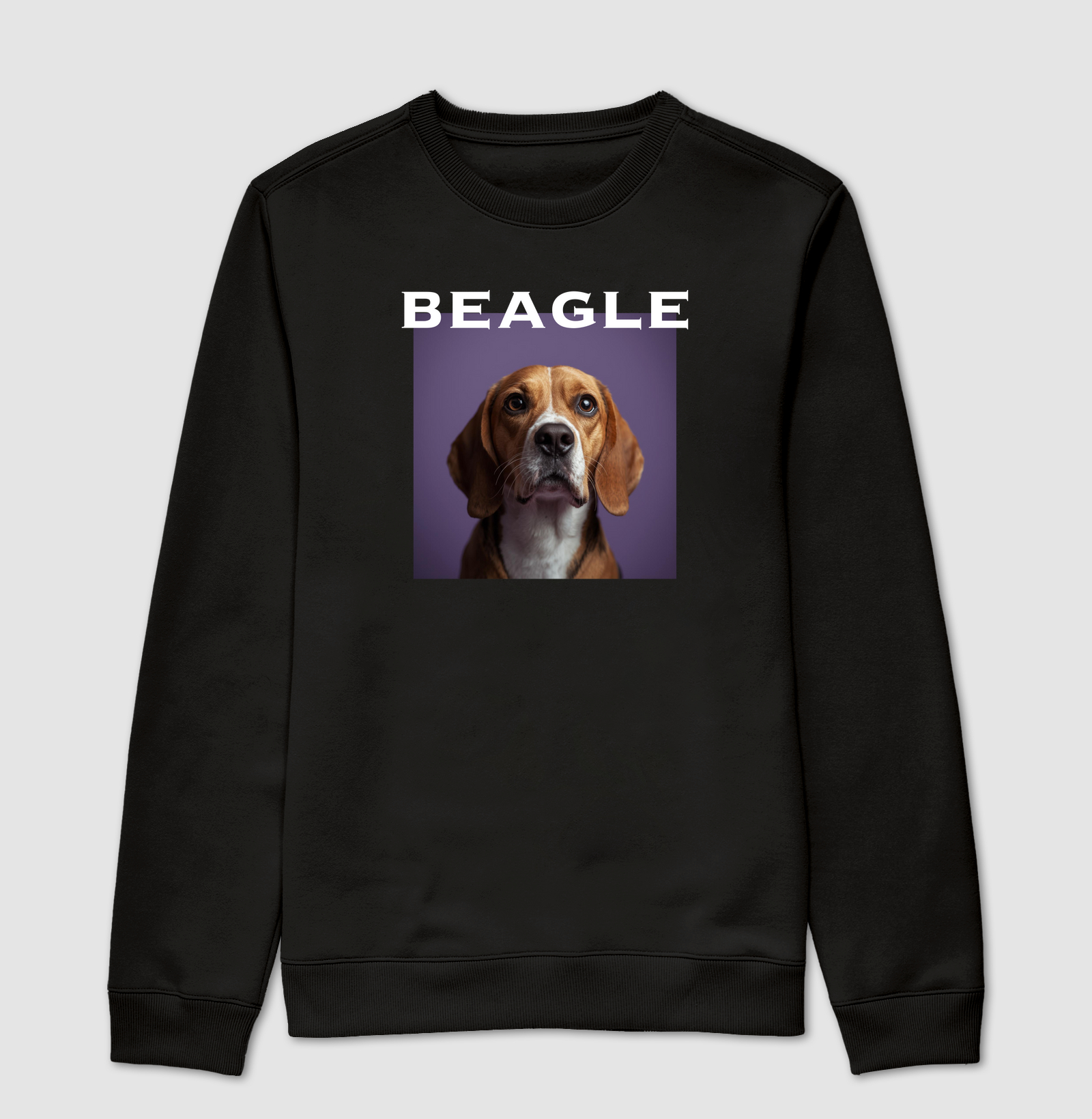 Beagle