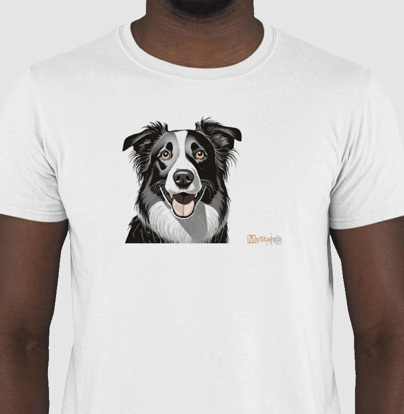 Pais de Pet: Border Collie